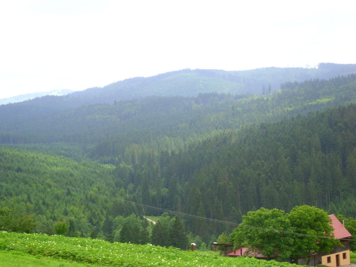 Domek U Malysza Istebna Extérieur photo